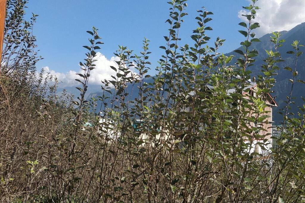 Aroma Taru Villa / Cottage ,Manali Экстерьер фото